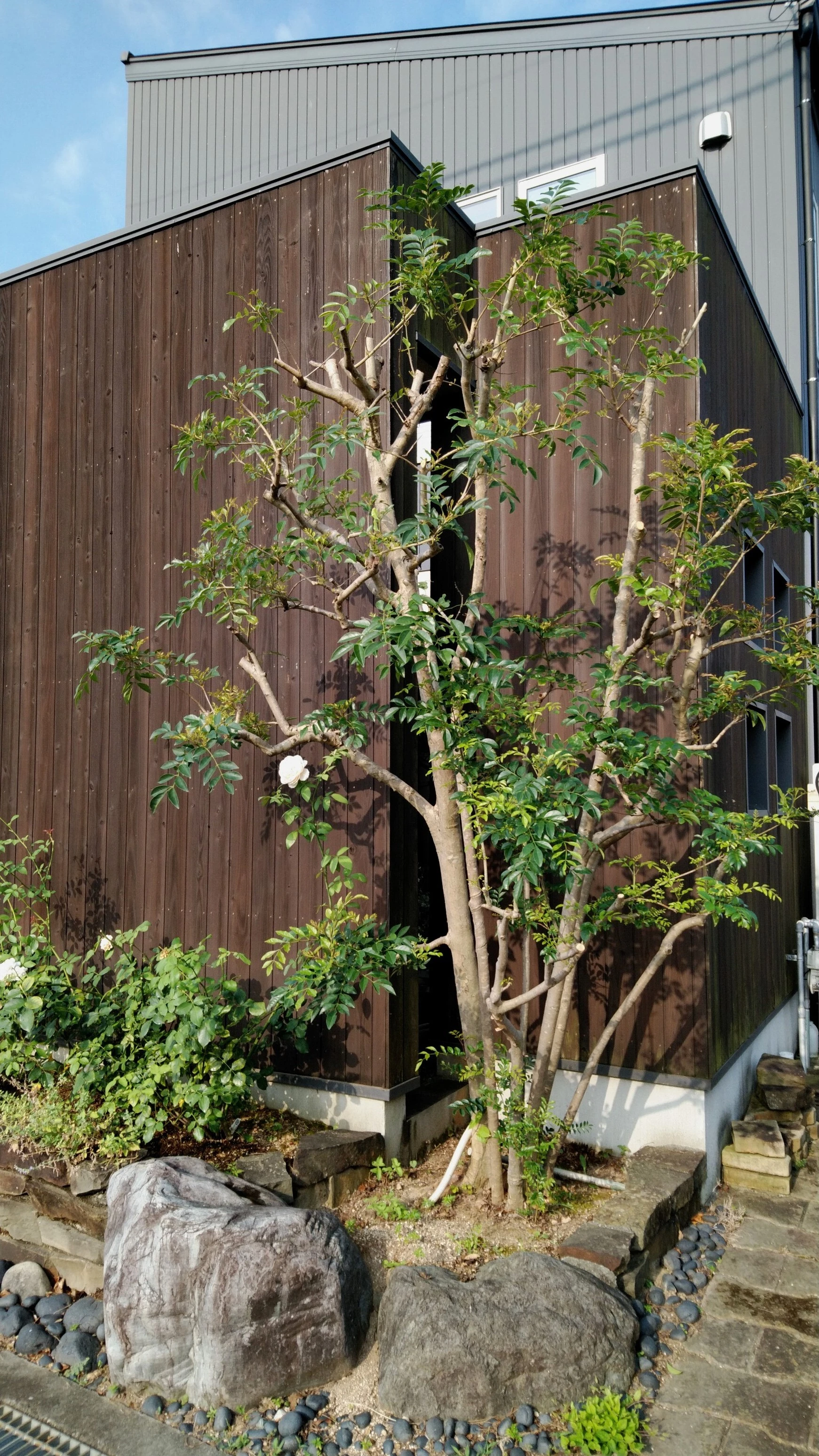 3. 自然と調和する植栽プラン
