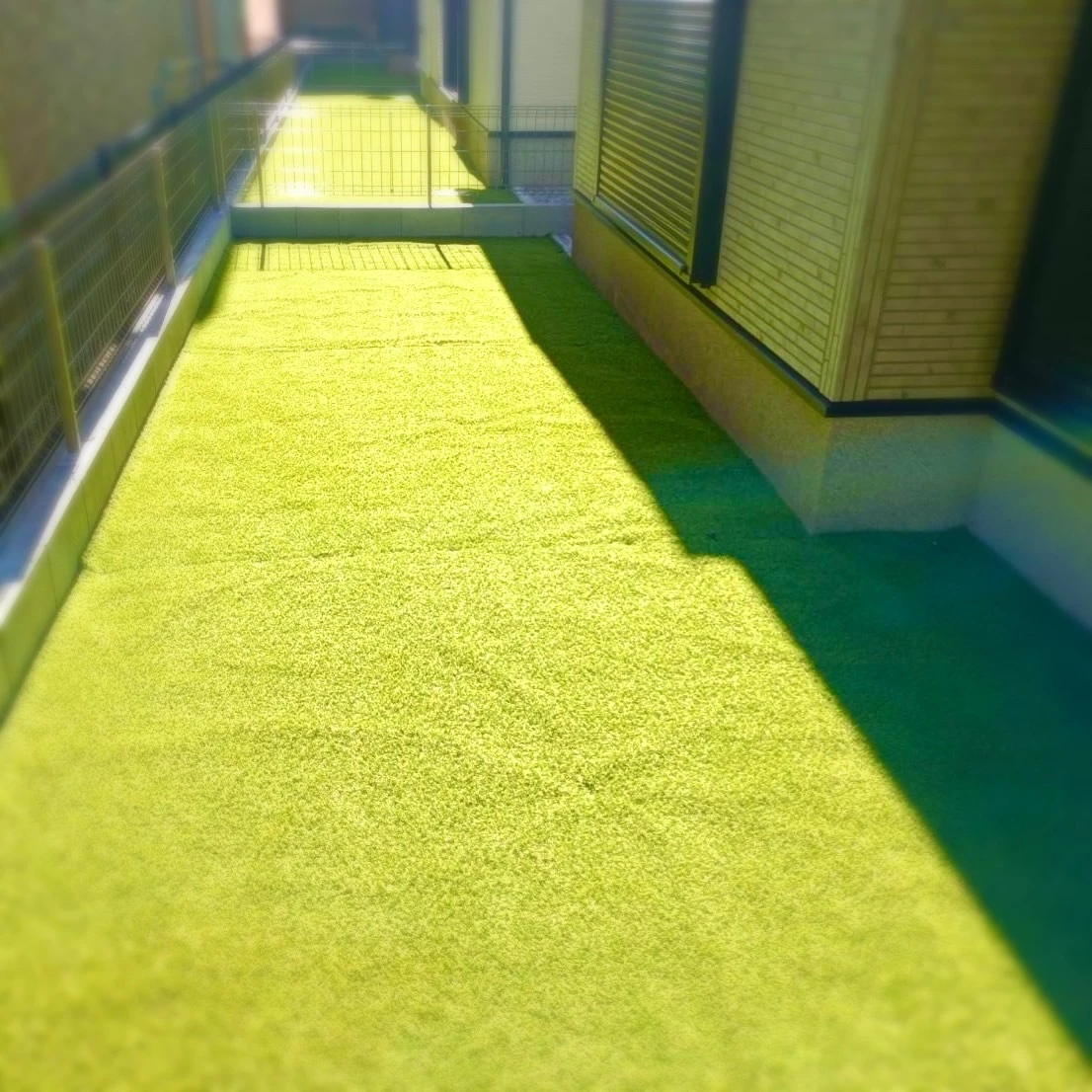 人工芝の施工